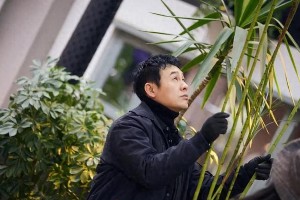 《灿烂的花园》热播 张颂文引领广东明星崛起