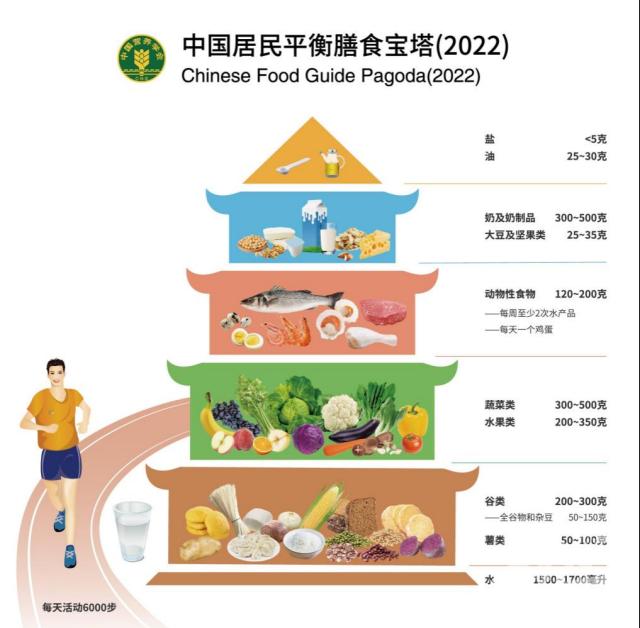 健康饮食金字塔