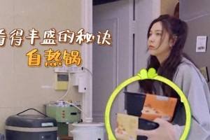宋妍霏自热锅招待杨迪翻车事件回顾与网友热议