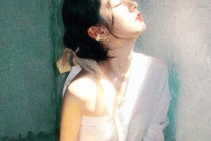 精彩图片展示：三张精选视觉盛宴