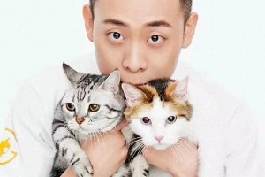 张译息影陪猫引热议：丁克家庭的幸福选择