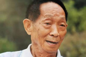 袁隆平去世引发粉圈数据狂欢，病态追星现象引争议